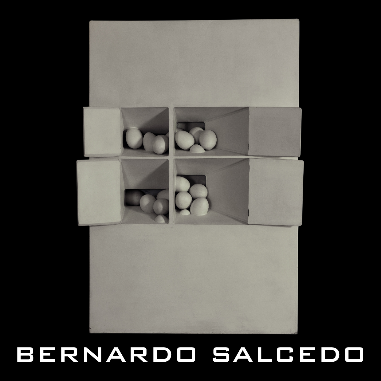 Bernardo Salcedo